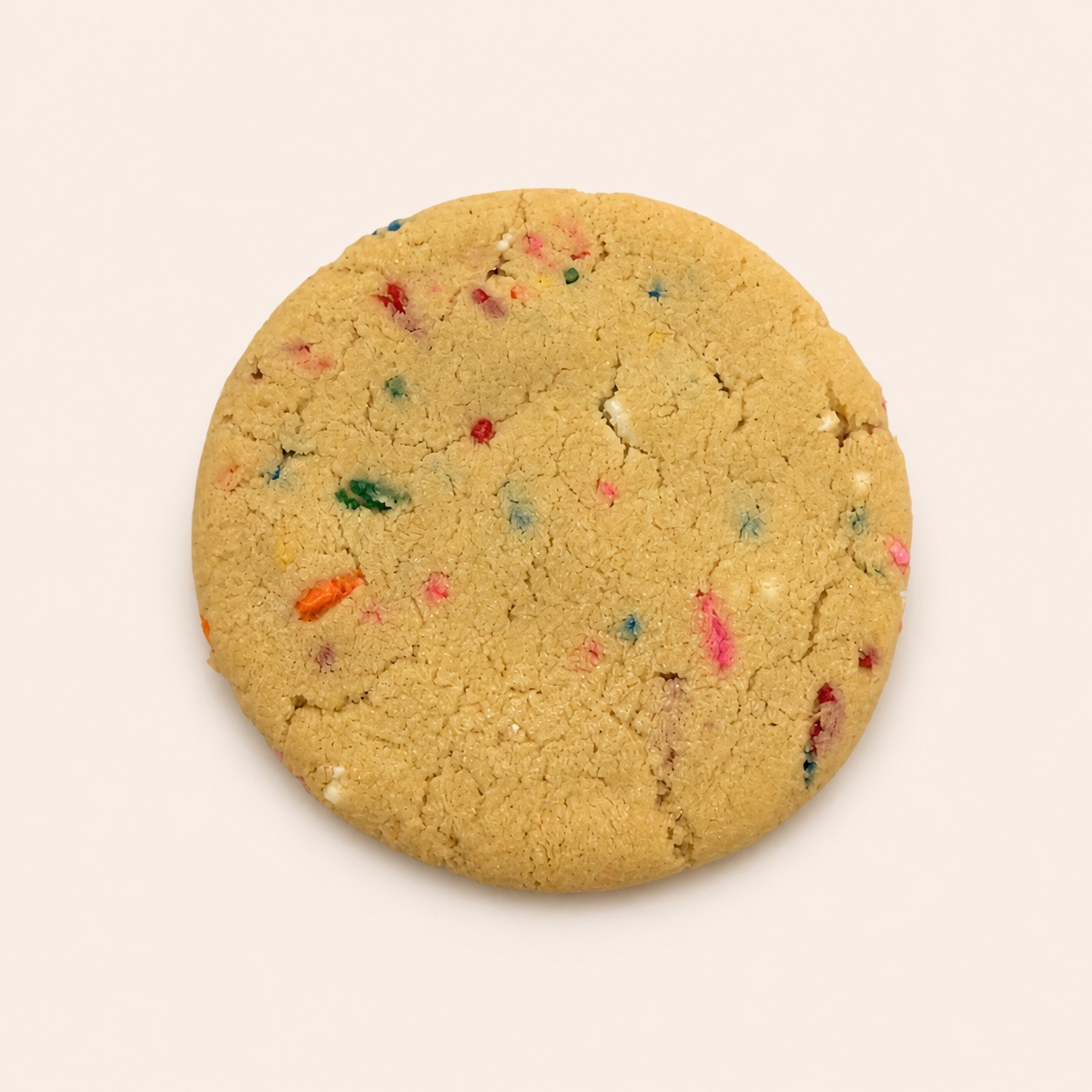 A large sprinkle cookie centered on a pale studio background