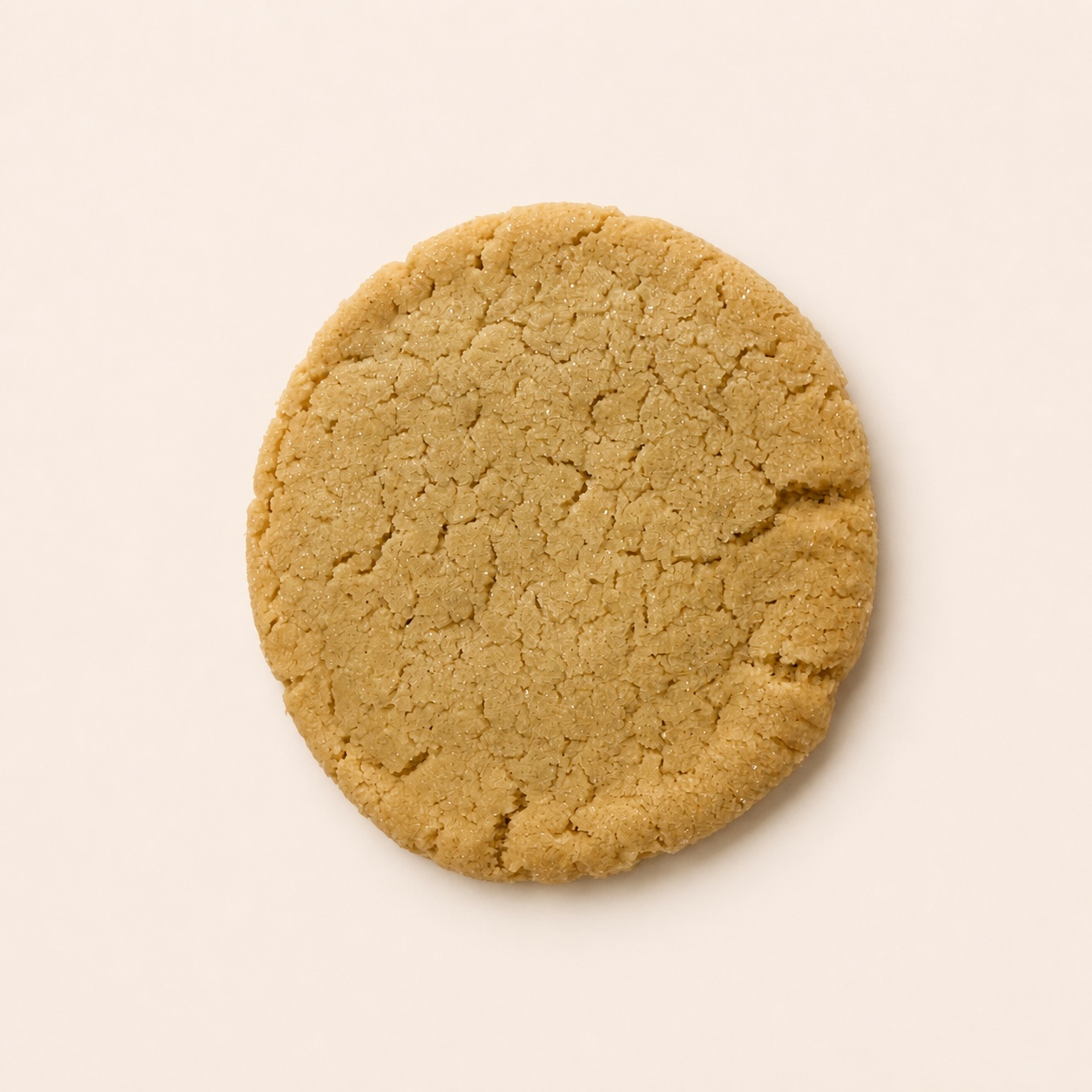A large sugar-coated cookie centered on a pale studio background